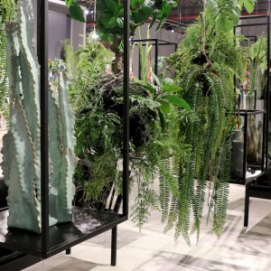 Fern Hanging Indoor Plant