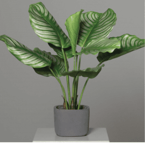 Large Banana Trees High Quality Artificial Plants