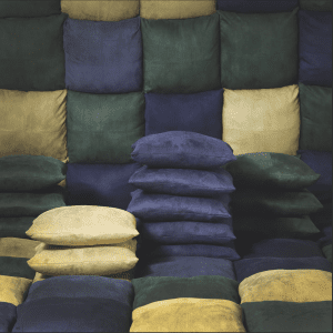 Indoor Throw Pillows