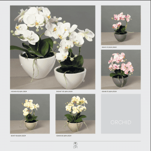 White Orchid with Pot Home Decor