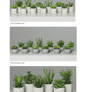 Small Greenery Plants with Pot