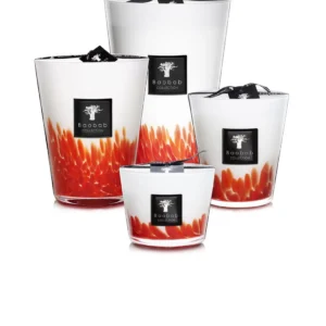 Feathers Maasai Candle Baobab