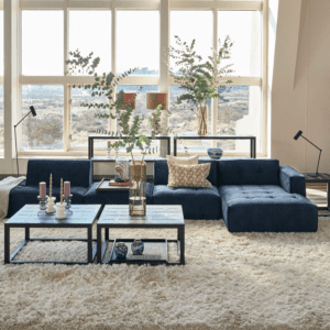 Brandon Modular Adjustable Sofa RM