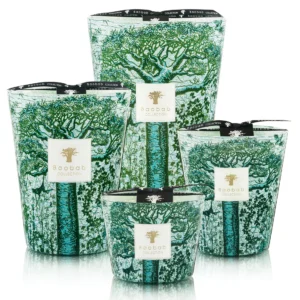 Kamalo Candle Baobab