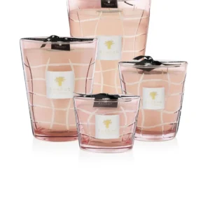 Malibu Candle Baobab